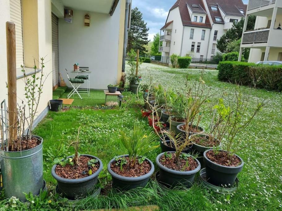 L'Univers Au Blanc. Estrasburgo Exterior foto